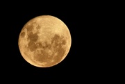 27th May 2021 - Full moon. 