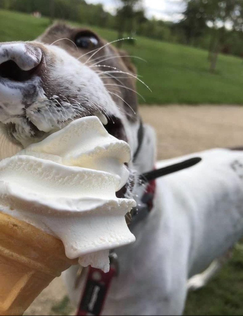 Rosie’s first ice-cream by tinley23