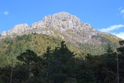 27th May 2021 - Mount Wrightson 