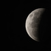 eclipsing moon by koalagardens
