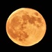Supermoon by julienne1