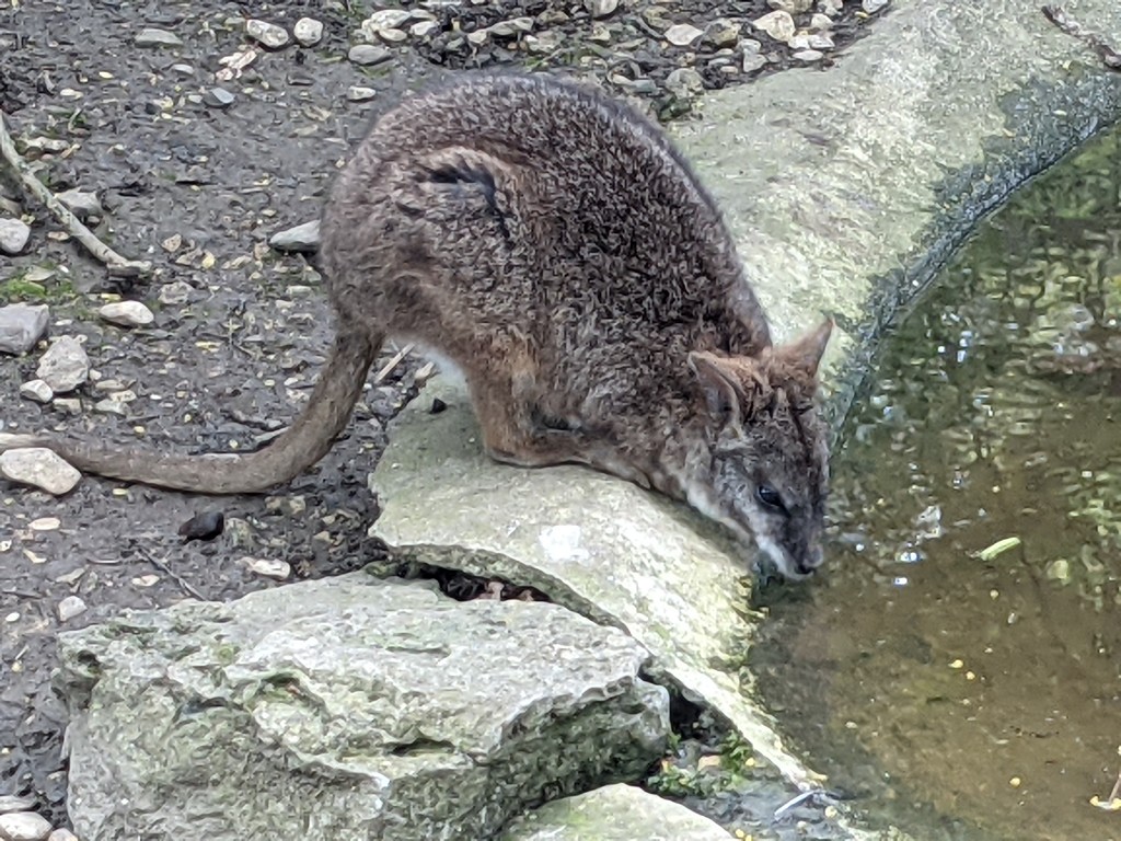 Met a friend at the wildlife park by yorkshirelady
