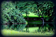 12th Aug 2020 - Reflections in Green