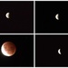 moon eclipse by dide