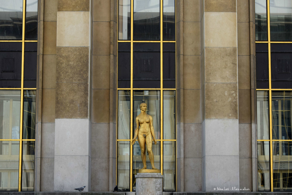 Musee de l'Homme by parisouailleurs