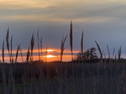7th May 2021 - Sunset in west sayville
