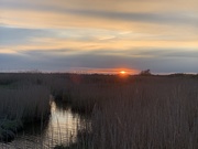 8th May 2021 - Sunset over the marsh