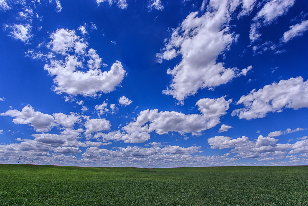 wheat and clouds by aecasey