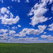 wheat and clouds by aecasey