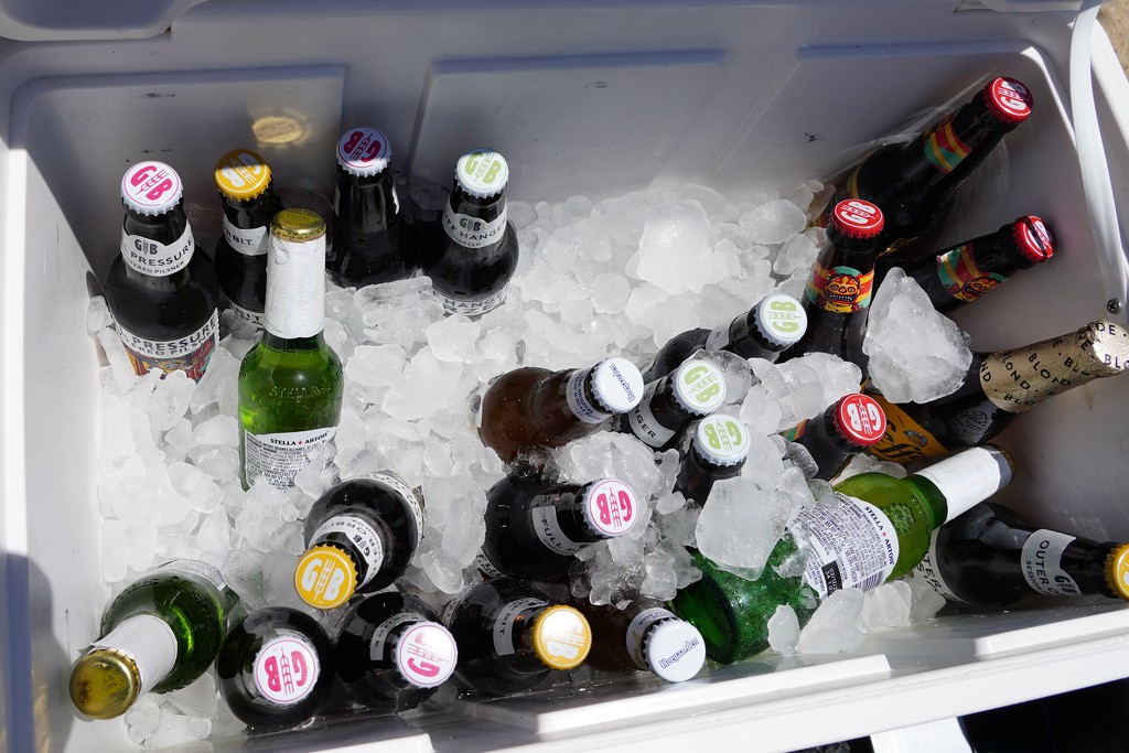 Beer in cooler by acolyte