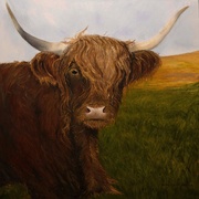28th May 2021 - Hunter's Highland Cow