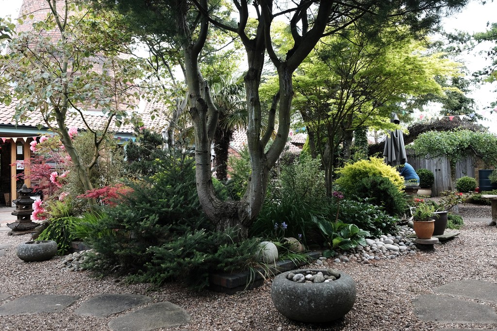 Japanese Garden at The Bottle Kiln by allsop