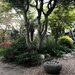 Japanese Garden at The Bottle Kiln by allsop