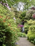 29th May 2021 - The Quarry Garden