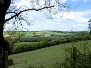 29th May 2021 - Devon countryside