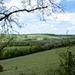 Devon countryside by busylady