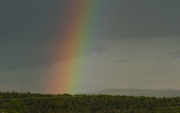 25th May 2021 - Another Rainbow, Another Treasure?