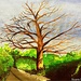 Down the country lane (painting) by stuart46