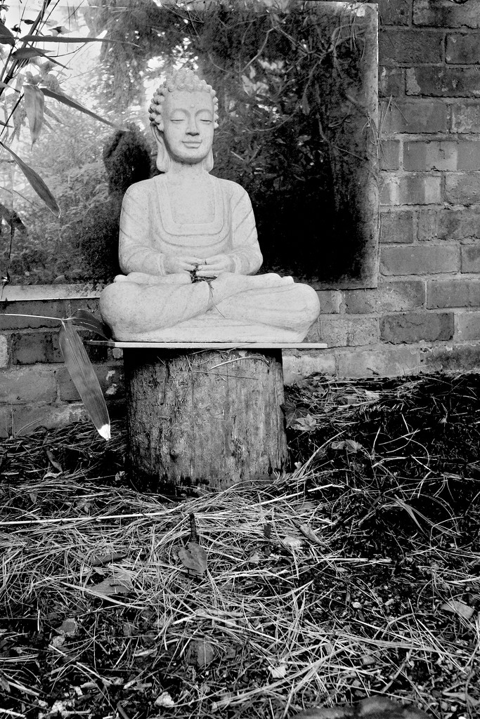 Buddha by allsop