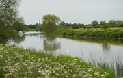 28th May 2021 - The River Avon at Bredon Gloucestershire