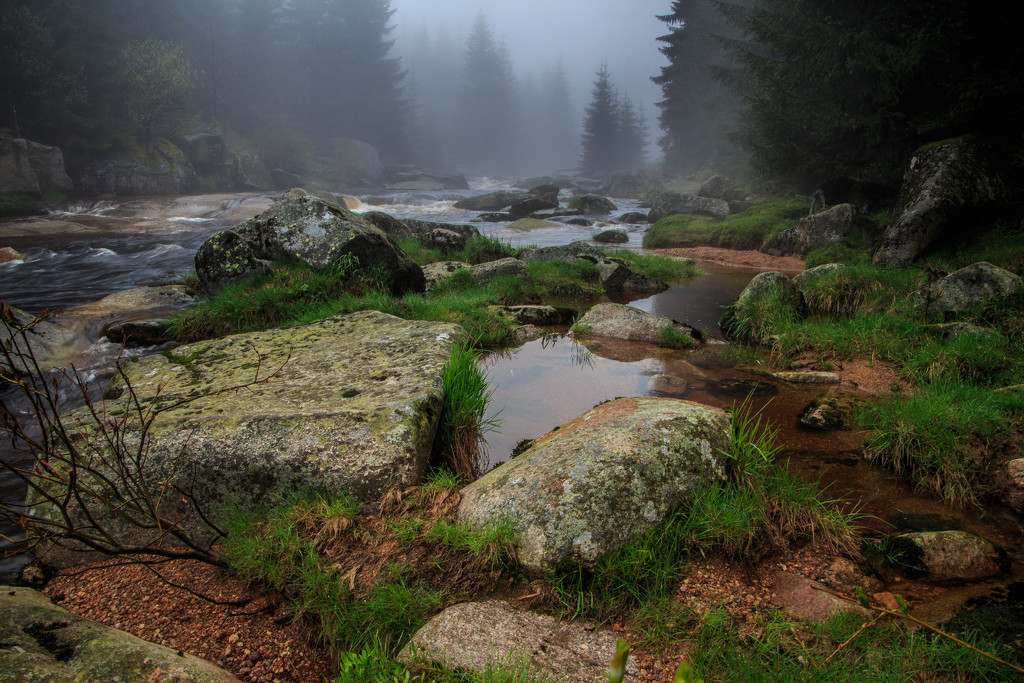a brook in a foggy forrest by j_kamil