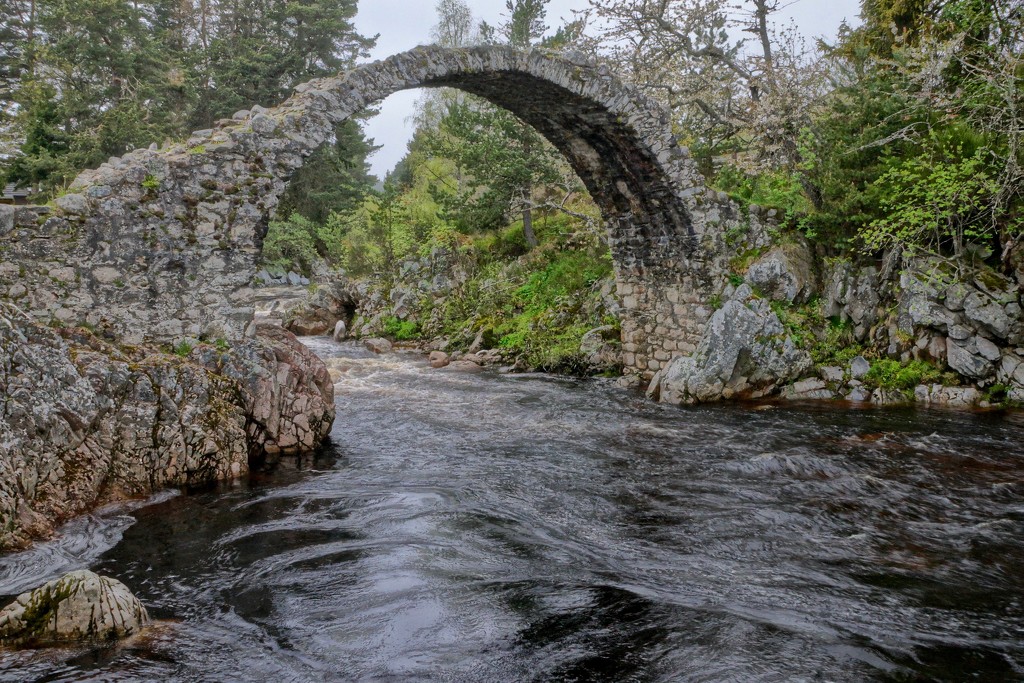 THE OLD BRIDGE AT CARRBRIDGE by markp