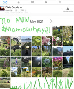 31st May 2021 - Nomowmay-21
