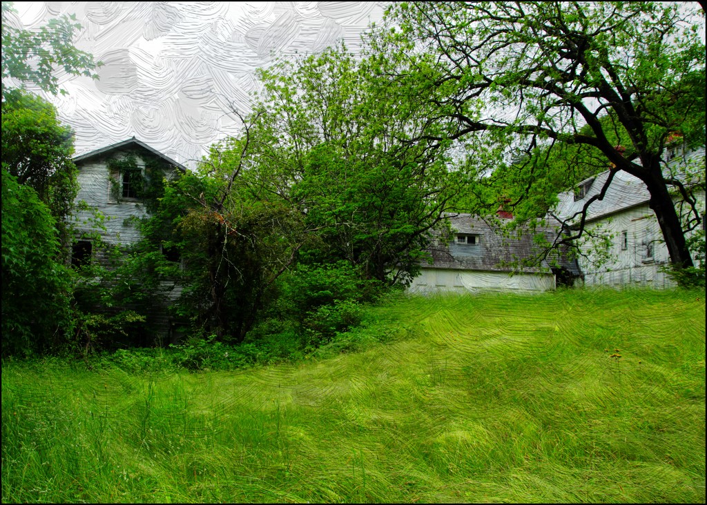 The White Barn in Spring by olivetreeann