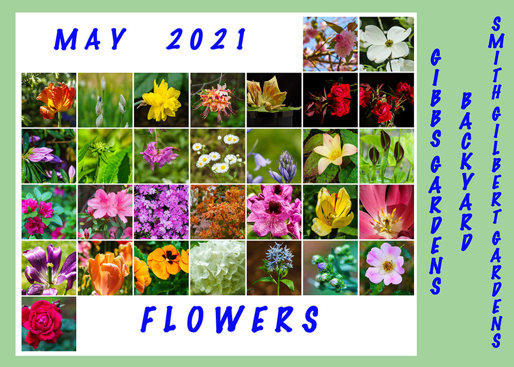 May Flowers by k9photo