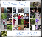 31st May 2021 - Half and Half(ishes)