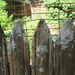 Garden fence by margonaut
