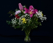 1st Jun 2021 - Flowers From Friends DSC_6887