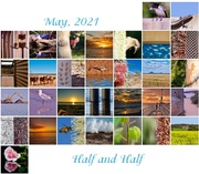 1st Jun 2021 - May Calendar View