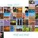 May Calendar View by merrelyn