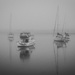 Morro Bay Series: foggy morning. by milestonevisualmedia