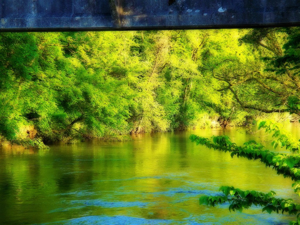River Green by ajisaac