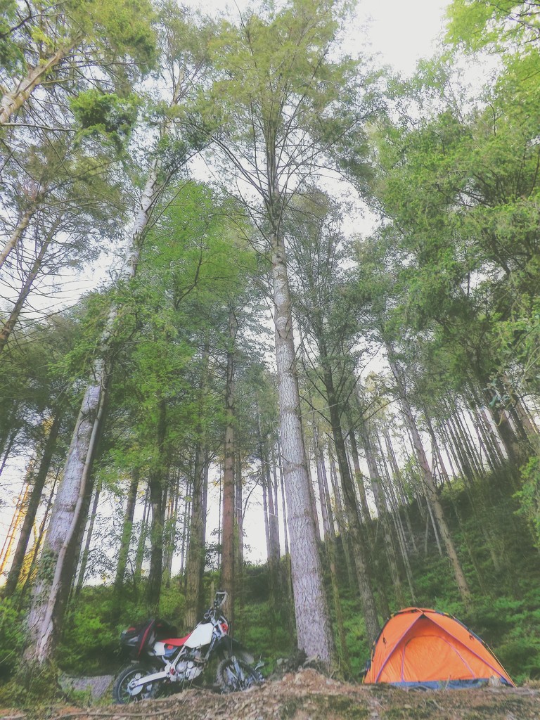 Wild Camping by ajisaac