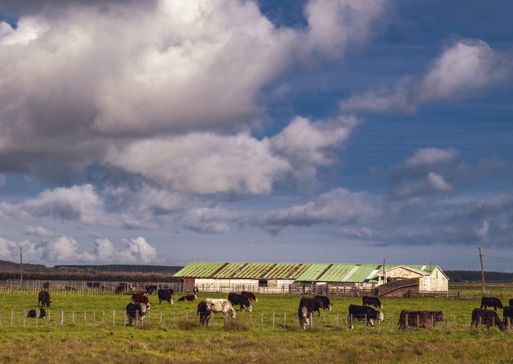 Farming landscape on a heavy wintry day by suez1e