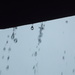 Rain Falling Off Porch Roof by sfeldphotos