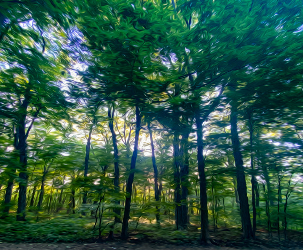 Painterly Forest by sprphotos