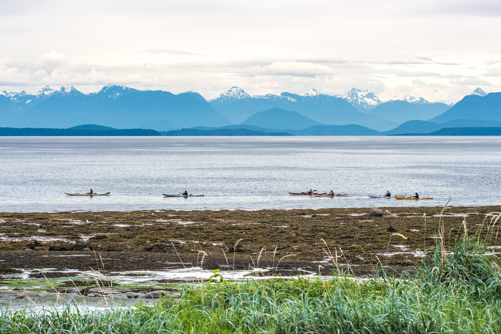 Kayakers by kwind