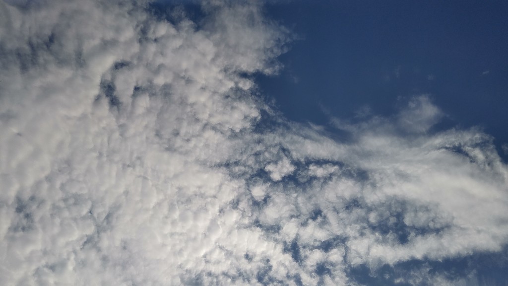 It's clouds illusions I recall... by marlboromaam