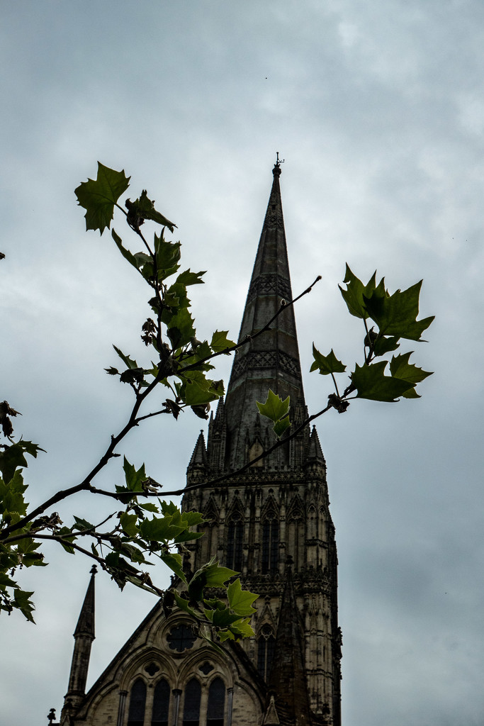 Coffee under the spire.... by susie1205