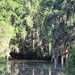 The Swamps in Florida