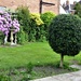 The back garden and lawn . by beryl