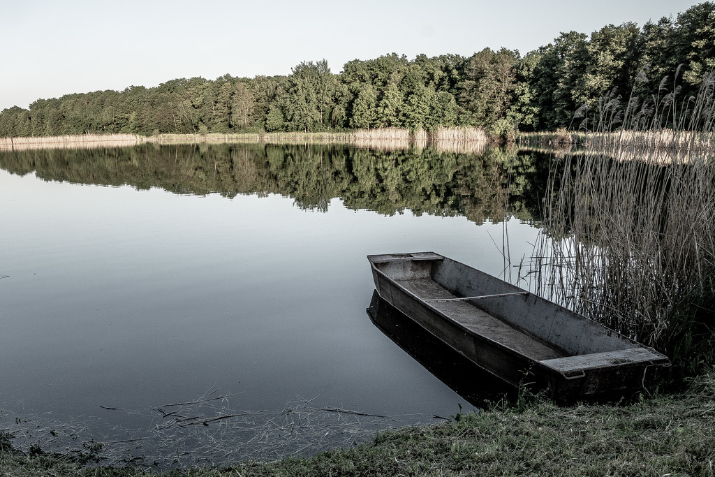 at the lake by j_kamil