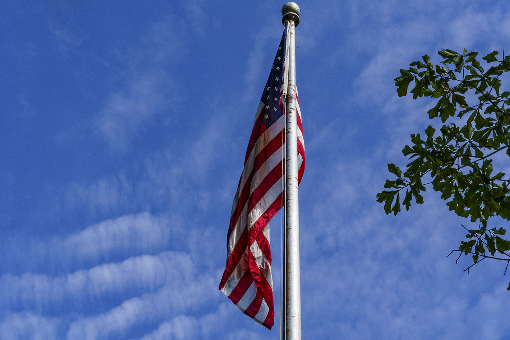Stars and Stripes by k9photo