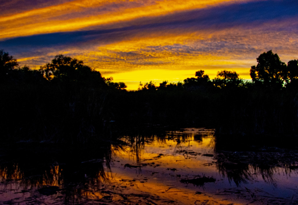 Wetlands Sunset by cwbill