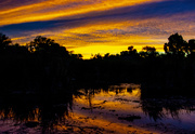 3rd Jun 2021 - Wetlands Sunset