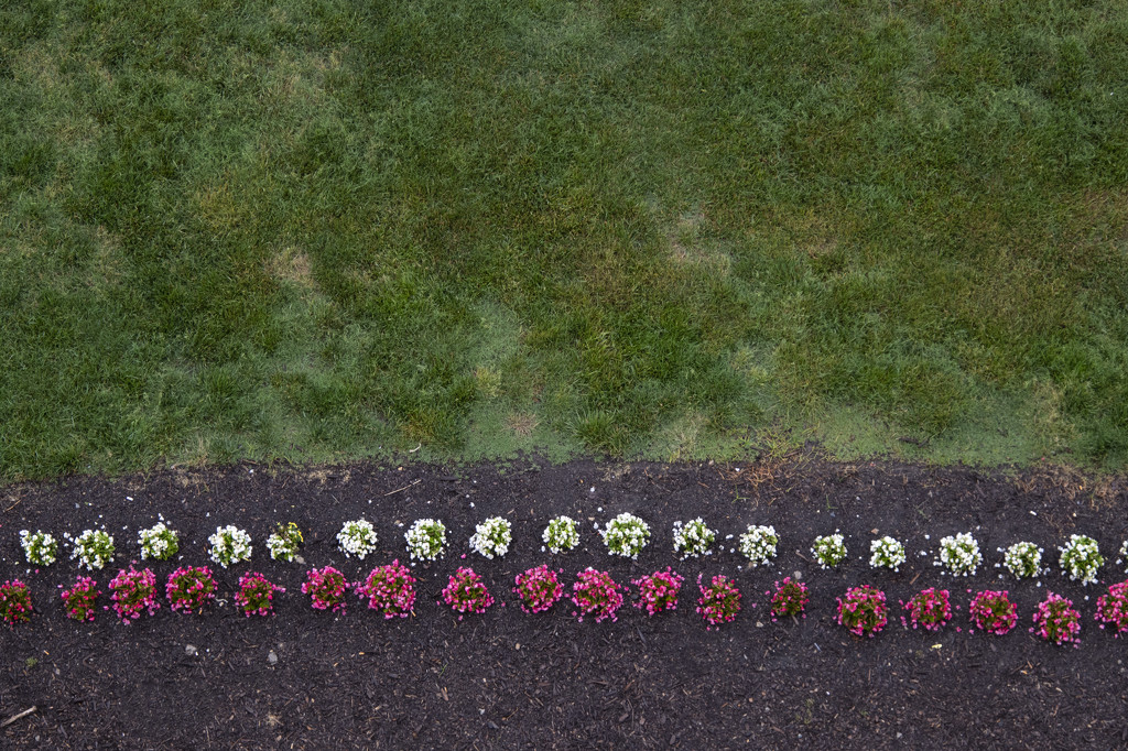 Landscaping From Above by timerskine